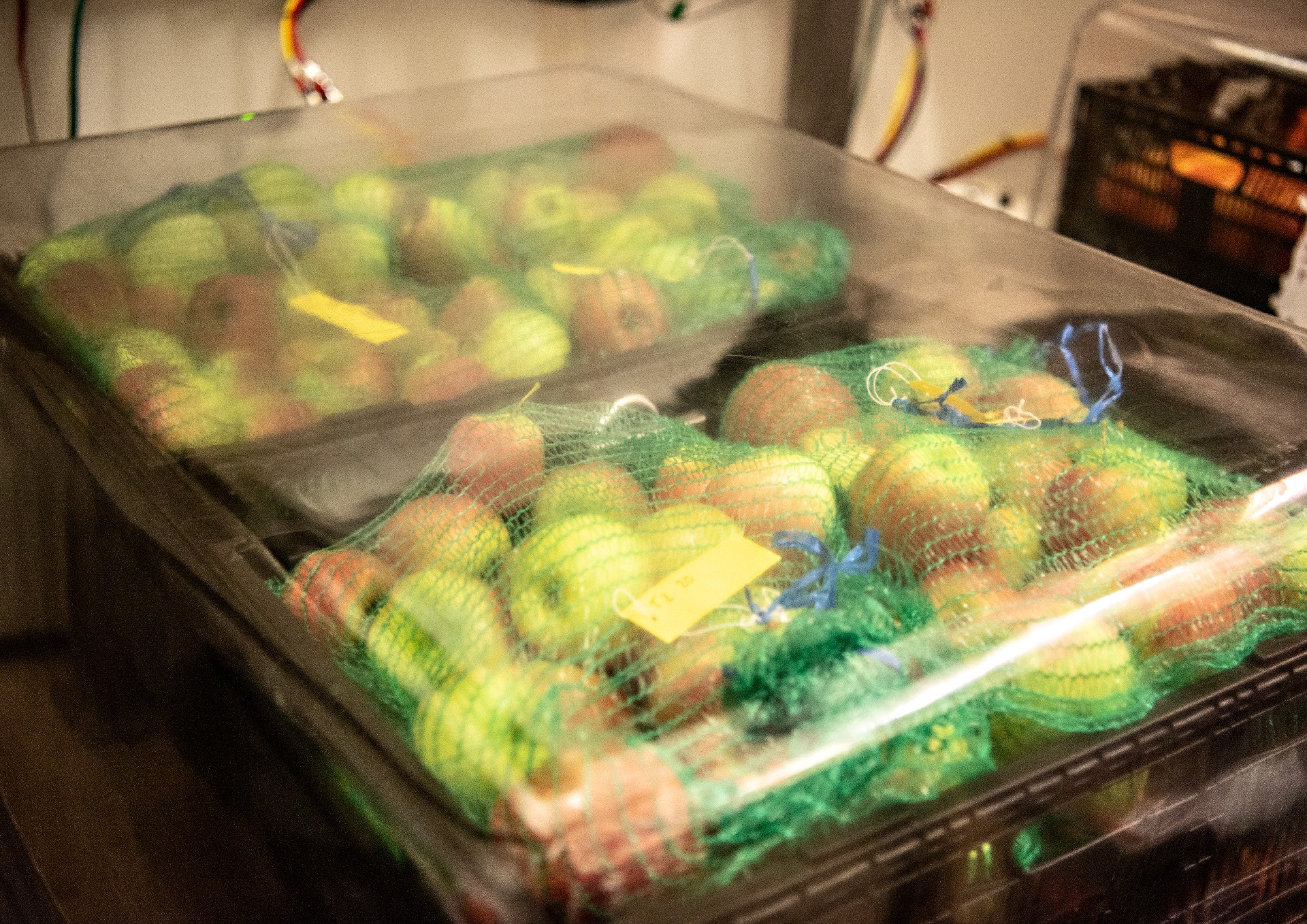 Apples in netted bags placed inside a Safepod for controlled storage and testing