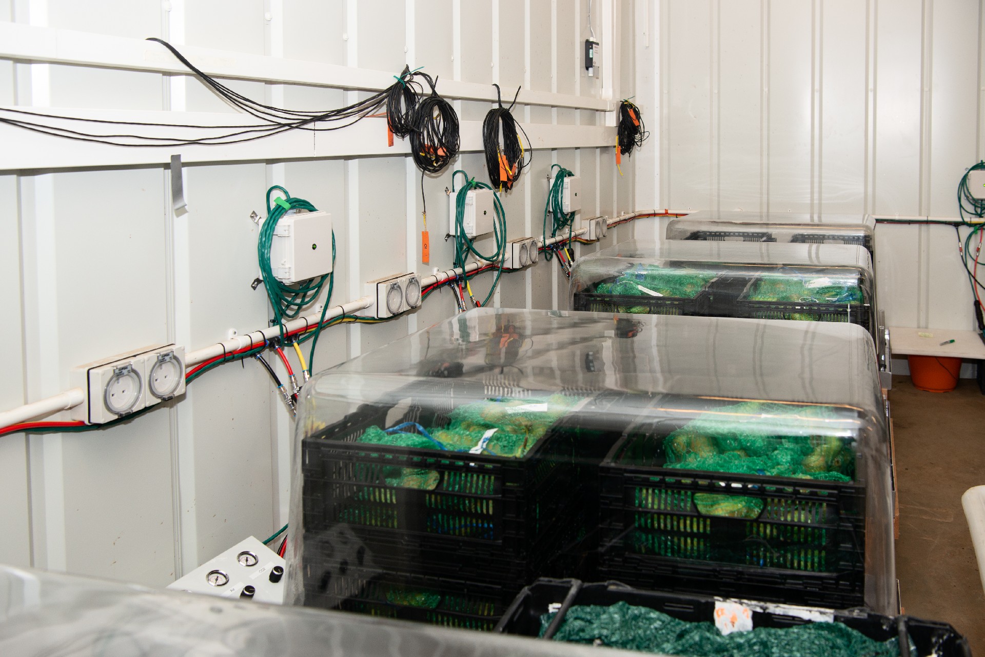 Controlled testing facility with multiple Safepods containing crates of apples
